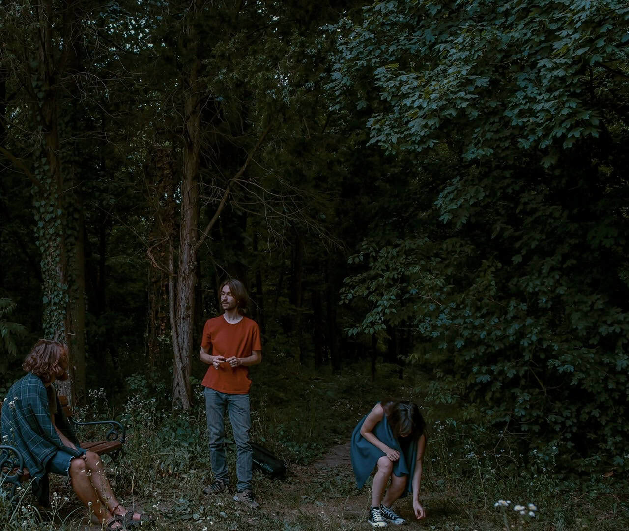Lost in the woods
