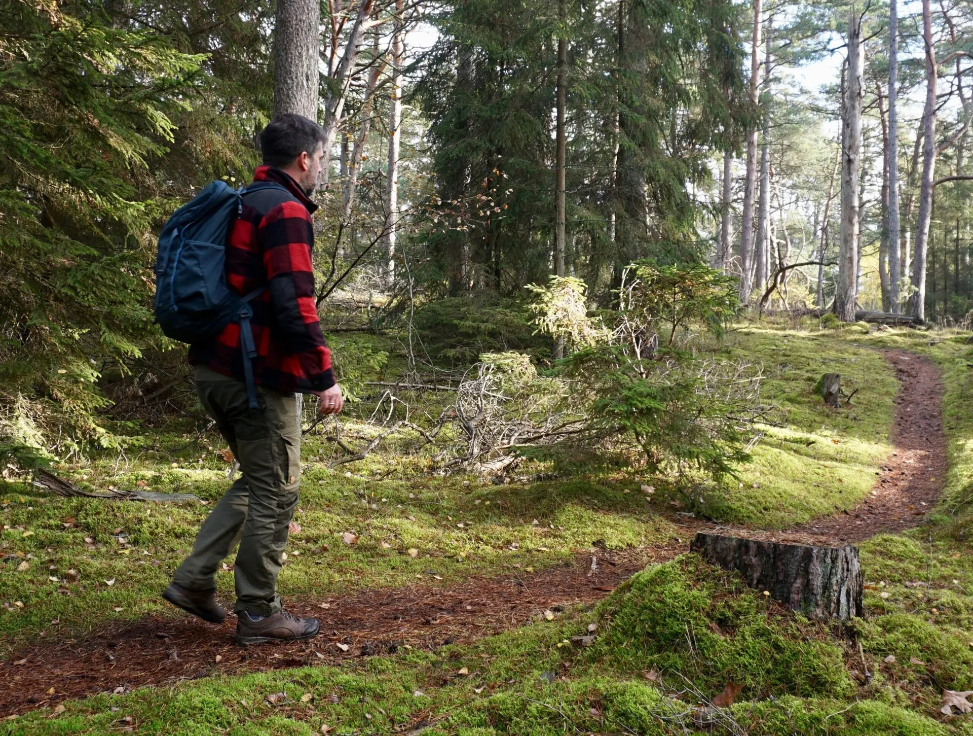 Eskil Holten på vandring på en skovsti